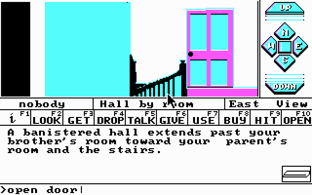 Dream Zone (DOS) screenshot: Typing a command (CGA)