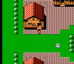 Faria: A World of Mystery & Danger! (NES) screenshot: Starting the game