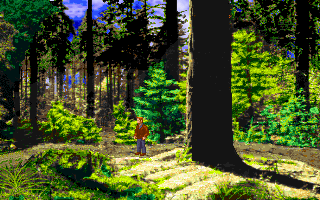 Call of Cthulhu: Shadow of the Comet (DOS) screenshot: A walk in the woods