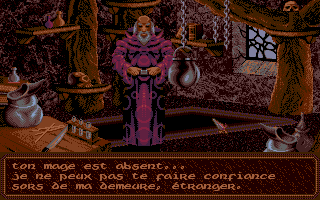Crystals of Arborea (DOS) screenshot: This mage isn't happy about you stumbling into his house. (VGA)