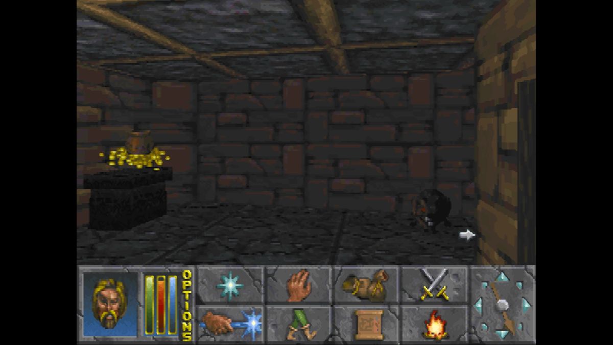 The Elder Scrolls: Chapter II - Daggerfall (Windows) screenshot: My first enemy encounter - a rat!