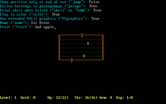 Rogue Clone (DOS) screenshot: Set the options, and name your favourite fruit! (Rogue Clone IV)