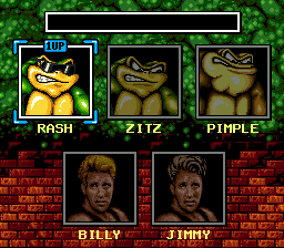 Battletoads / Double Dragon (1993) - MobyGames