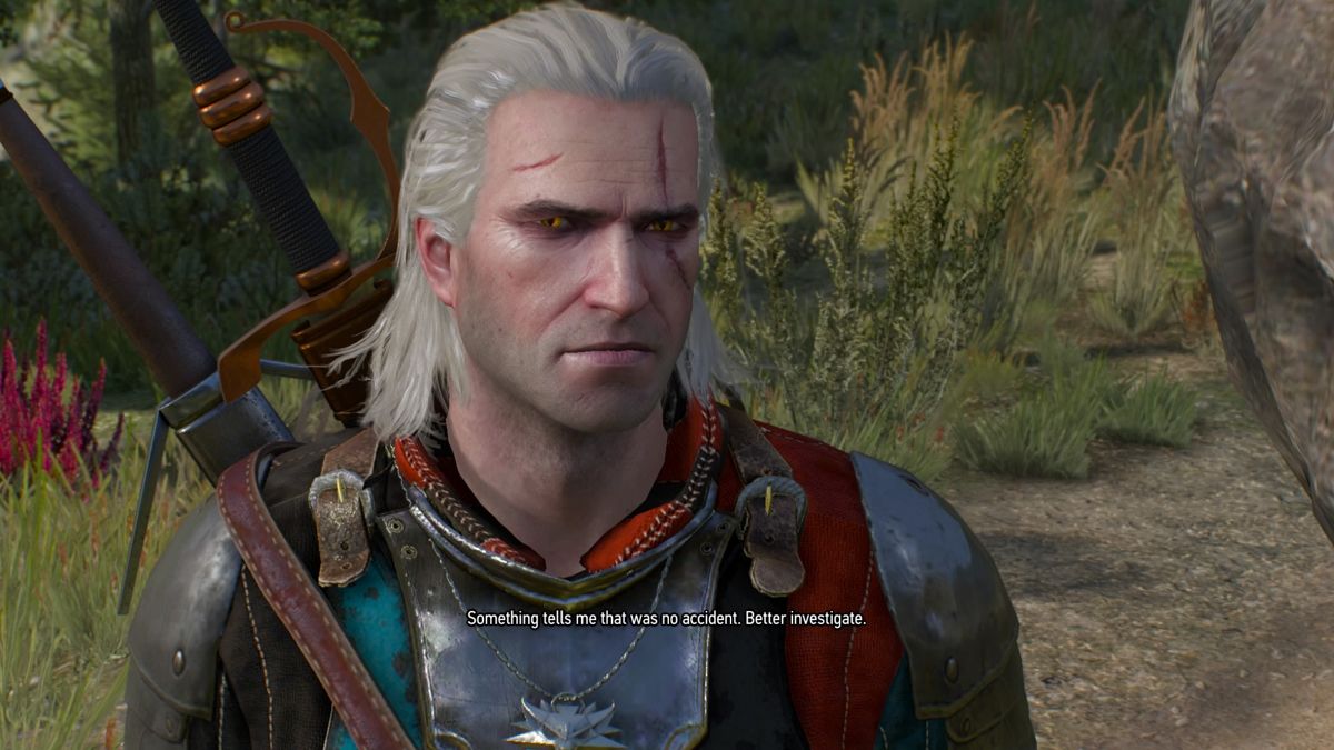 The Witcher 3: Wild Hunt - New Quest: "Contract: Skellige's Most Wanted" (PlayStation 4) screenshot: This was no accident if I do say so myself