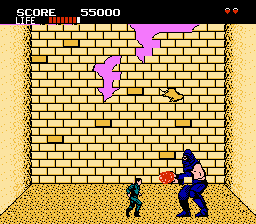 Shinobi nes 2024