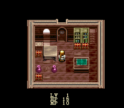Mystic Ark (SNES) screenshot: A hut in the Cat World