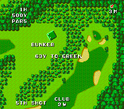 Naxat Open (TurboGrafx-16) screenshot: Sand in the place where you work