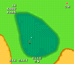 Naxat Open (TurboGrafx-16) screenshot: Chipped into a good position there