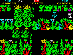 Sabre Wulf (ZX Spectrum) screenshot: Sabreman was bumped by a native. These are invulnerable but can be scared.