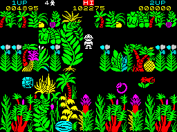 Sabre Wulf (ZX Spectrum) screenshot: This is Scarlet! The 2nd finest flower, good legs, muscled, strong temper... Invulnerability but decrease of speed.