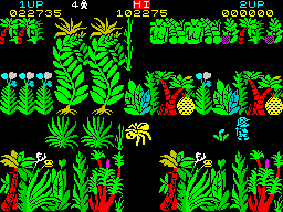 Sabre Wulf (ZX Spectrum) screenshot: I got caught by the blue orchid's toxic perfume. The best of them. Invulnerable and speedy.