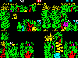 Sabre Wulf (ZX Spectrum) screenshot: Got paralysed by the yellow flowe... I was just informed they are orchids. This type blow ever destructible enemy around and temporarily paralyse Sabreman.