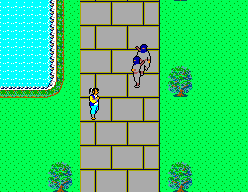 The Ninja (SEGA Master System) screenshot: Fighting in the courtyard