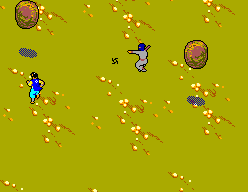 The Ninja (SEGA Master System) screenshot: Avoid the boulders