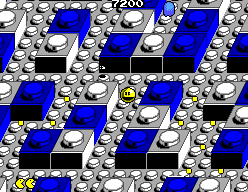 Screenshot of Pac-Mania (SEGA Master System, 1987) - MobyGames