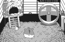 Dokodemo Hamster (WonderSwan) screenshot: Don't turn your back to me, you animal!