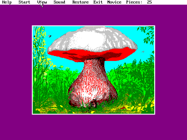 Jigsaw Puzzle (DOS) screenshot: One of the supplied pictures