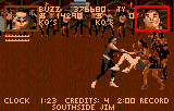 Pit-Fighter (Lynx) screenshot: The crowd is more than looks -- they can attack and push you if you get too near