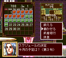 Princess Maker: Legend of Another World (SNES) screenshot: Filling up the daughter's schedule