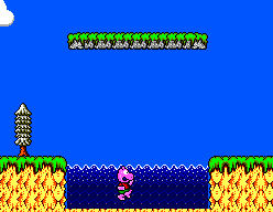 Psycho Fox (SEGA Master System) screenshot: Never rely on Hippo