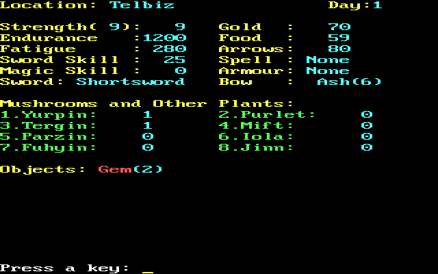 Rings of Zilfin (DOS) screenshot: The status screen.