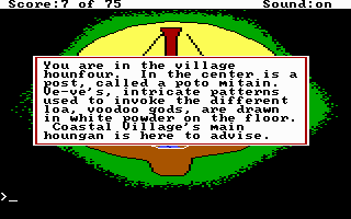 Voodoo Girl: Queen of the Darned (DOS) screenshot: I don't know how much more information my brain can hold!