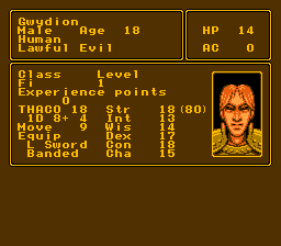 Pool of Radiance (NES) screenshot: Pre-made characters