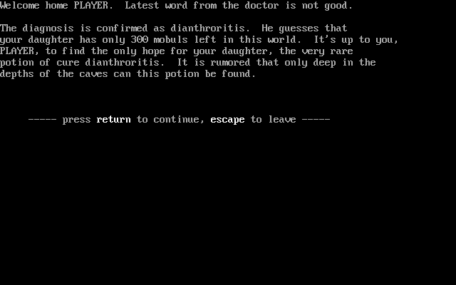 Larn (DOS) screenshot: Visiting your home and your daughter