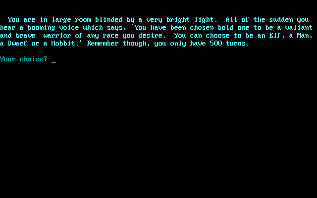 The Wizard's Castle (DOS) screenshot: Beginning character generation (1984 GW-Basic version)