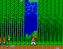 Kung Fu Kid (SEGA Master System) screenshot: In the bamboo forest