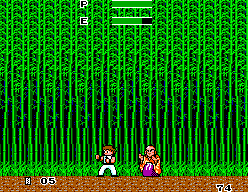 Kung Fu Kid (SEGA Master System) screenshot: Boss hurt