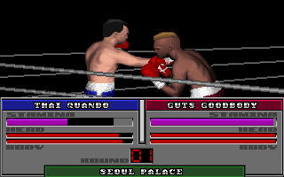 ABC Wide World of Sports Boxing (DOS) screenshot: Rock 'em! Sock 'em!