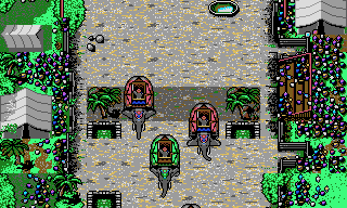 Champion of the Raj (DOS) screenshot: A more graceful sport I cannot imagine. (VGA)