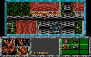 Dragonflight (DOS) screenshot: Starting location