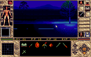 Elvira II: The Jaws of Cerberus (DOS) screenshot: A quiet enough night out here...