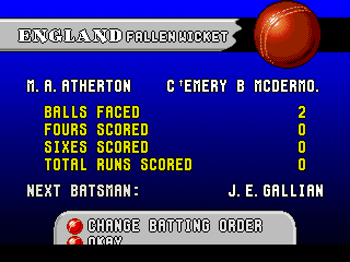 Allan Border's Cricket (Genesis) screenshot: The results after batting