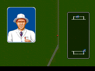 Allan Border's Cricket (Genesis) screenshot: The umpire making a call