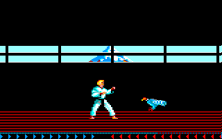 Karateka (Amstrad CPC) screenshot: Hawk encounter...