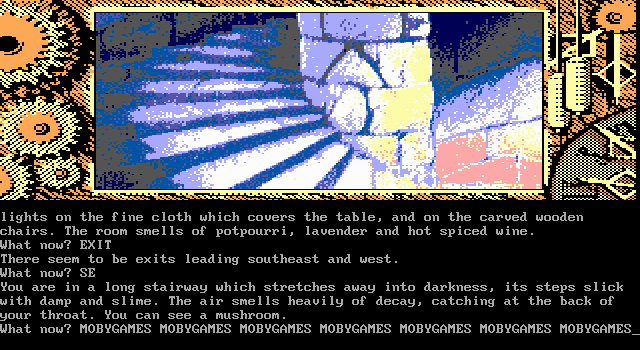 Time and Magik: The Trilogy (DOS) screenshot: Red Moon - Long stairway (EGA)
