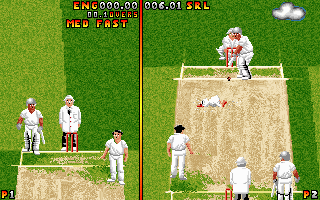 Ian Botham's Cricket (DOS) screenshot: Duck is ready to drop...:-)