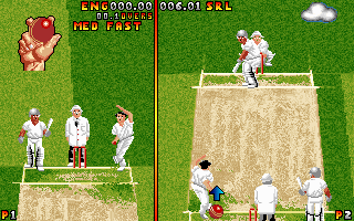 Ian Botham's Cricket (DOS) screenshot: Another try...