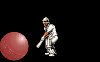 Ian Botham's Cricket (DOS) screenshot: Batsman (Ian Botham) is waiting for the ball during introduction...
