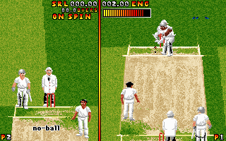 Ian Botham's Cricket (DOS) screenshot: Trying to smatch the ball...