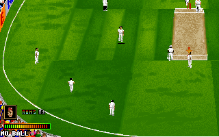 Ian Botham's Cricket (DOS) screenshot: One of fielders is ready to hit the selected wicket...