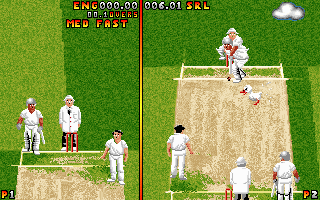 Ian Botham's Cricket (DOS) screenshot: Hey, duck is here...Duck refers to a batsman getting out for a score of zero...