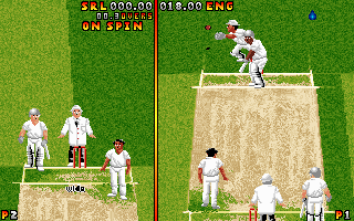 Ian Botham's Cricket (DOS) screenshot: Trying to catch the ball bowled by bowler...