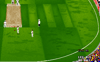 Ian Botham's Cricket (DOS) screenshot: Wicket is broken...