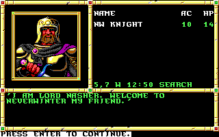 Neverwinter Nights (DOS) screenshot: Hi there, Lord Nasher! I hate you!!