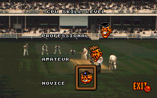 Ian Botham's Cricket (DOS) screenshot: CPU skill selection
