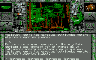Chichén Itzá (DOS) screenshot: A forest